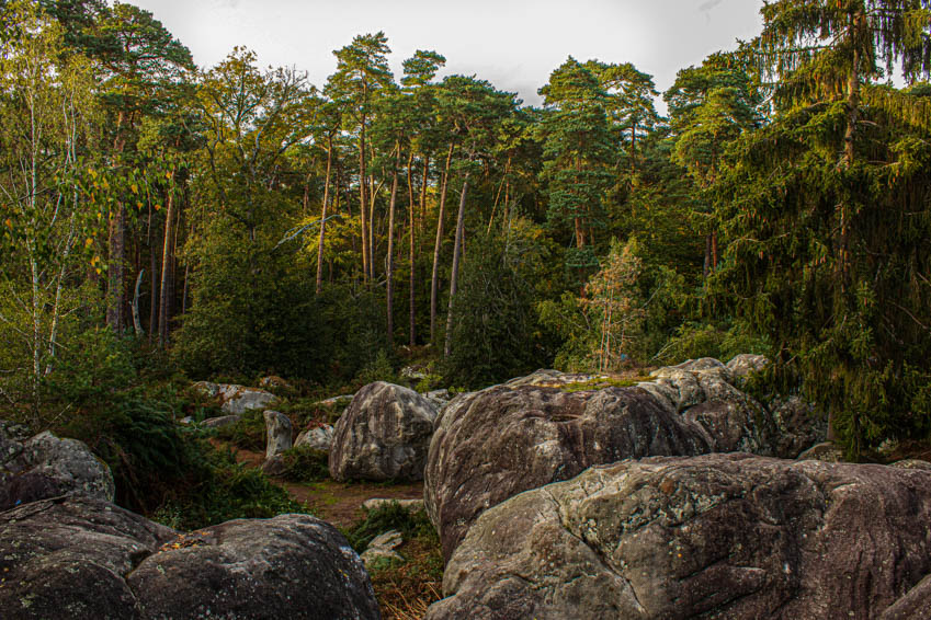 machapuchare yoga escalade forêt de fontainebleau