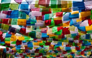 machapuchare yoga népal