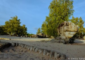 machapuchare yoga escalade forêt de fontainebleau