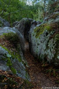 machapuchare yoga escalade forêt de fontainebleau