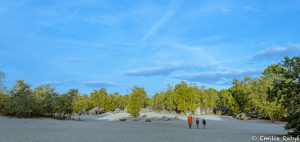 machapuchare yoga escalade forêt de fontainebleau