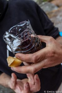 machapuchare yoga escalade forêt de fontainebleau