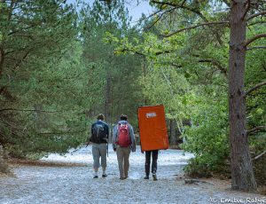 yoga escalade fontainebleau