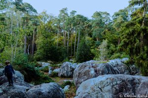 machapuchare yoga escalade forêt de fontainebleau