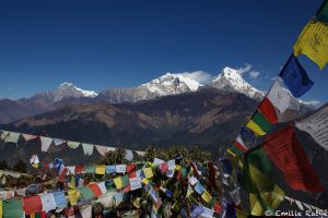 machapuchare yoga népal
