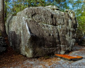 machapuchare yoga escalade forêt de fontainebleau