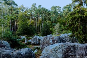 machapuchare yoga escalade forêt de fontainebleau