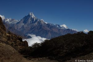 machapuchare yoga népal
