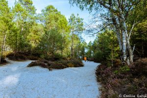machapuchare yoga escalade forêt de fontainebleau