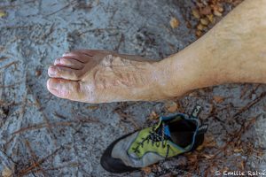 machapuchare yoga escalade forêt de fontainebleau