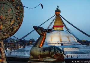 machapuchare yoga népal