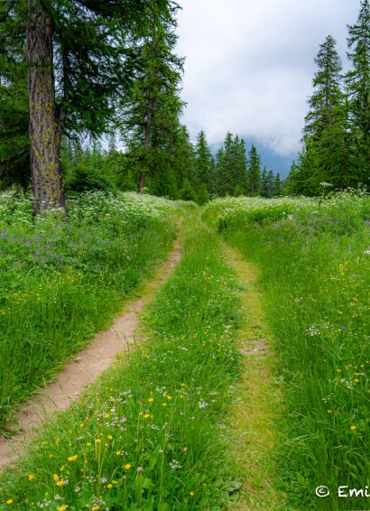 Stage Yoga marche nordique - Emilie Ratyé Photographie et Machapuchare Yoga